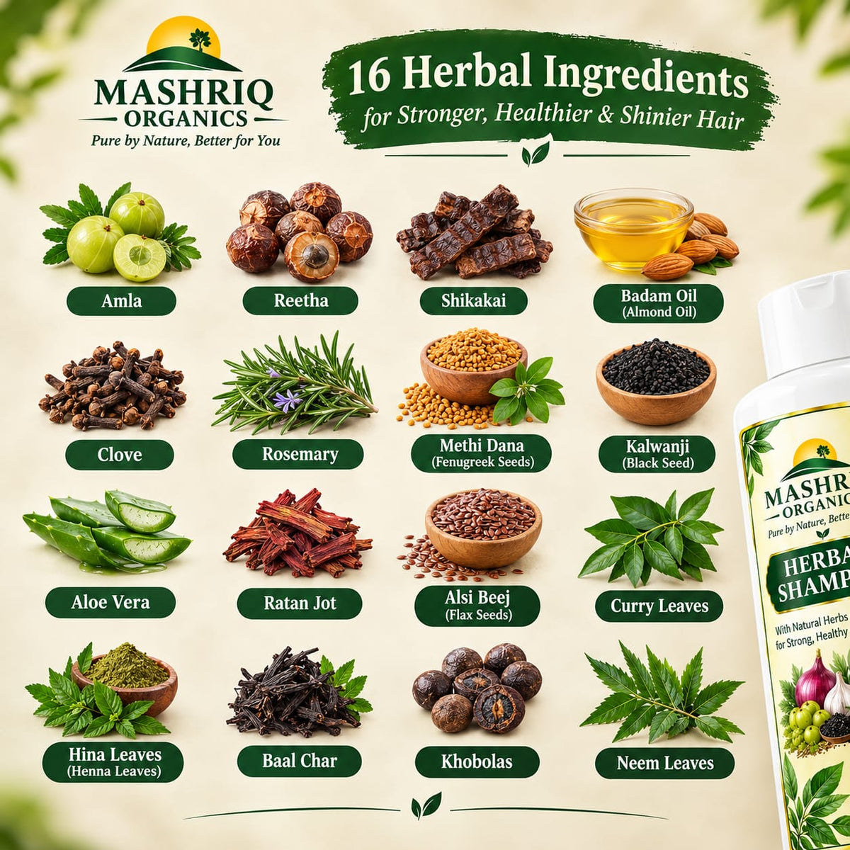 Hair Shampoo for Hair Care | Mashriq Organics